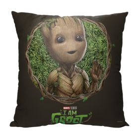 I AM GROOT - GROOT FRAME (SKU: 1MAR/69500/0025/OOF)