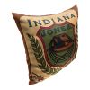IND JONES 5 - INDIANA JONES